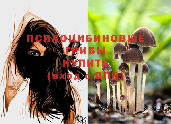индика Нефтегорск