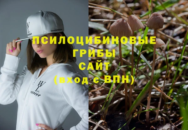 МДПВ Новозыбков