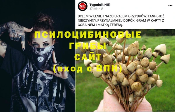 молекула духа Нефтекумск