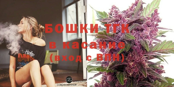 индика Нефтегорск